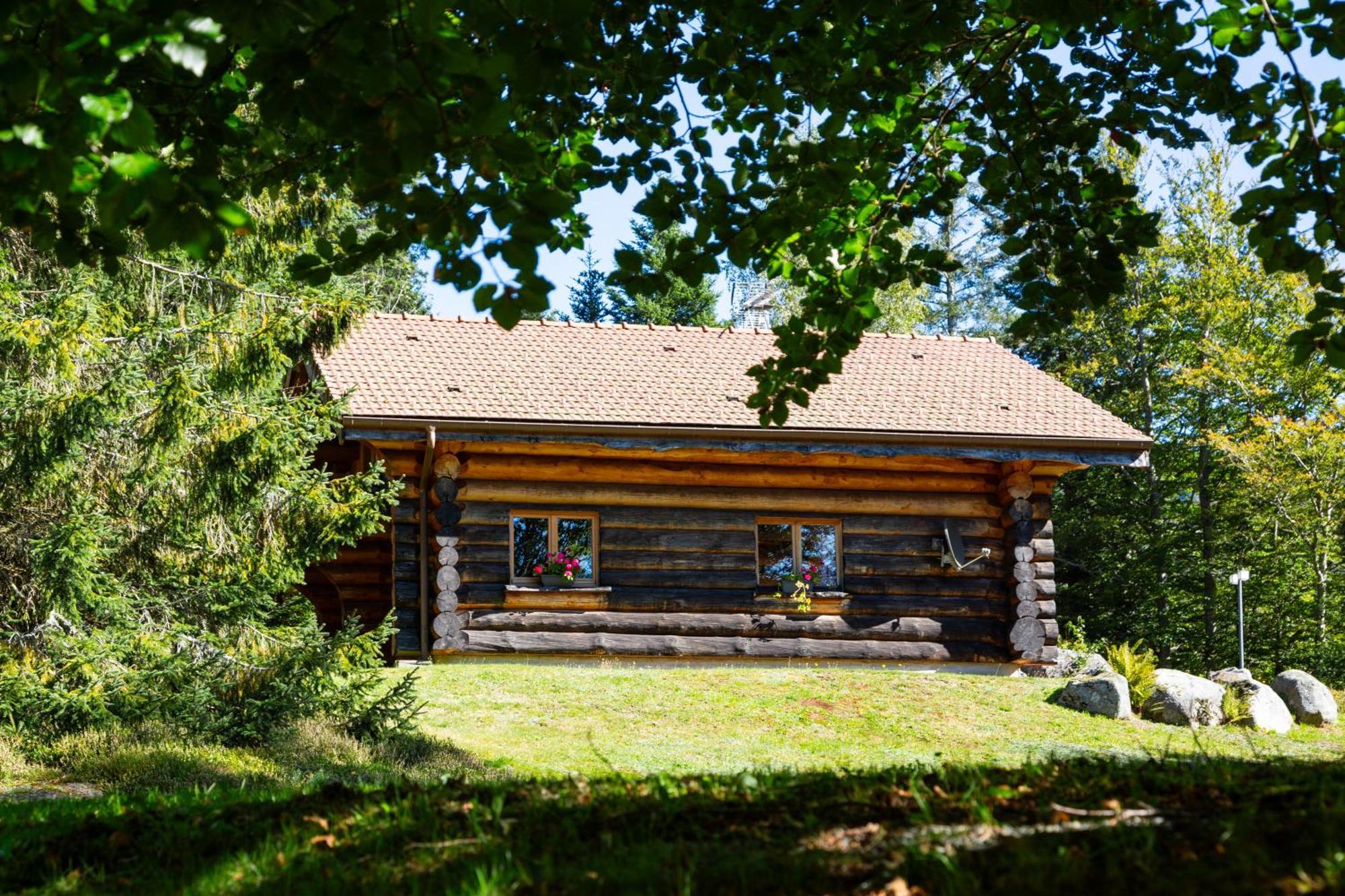 Le Couaroge Chalets Et Appartements La Bresse Exterior photo